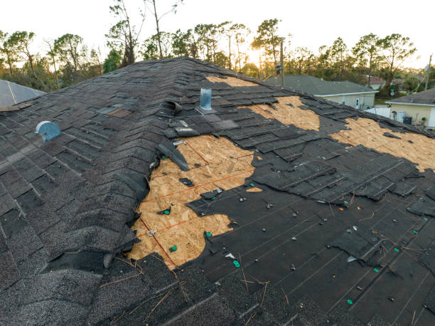 Reliable Allison Park, PA Roofing Solutions